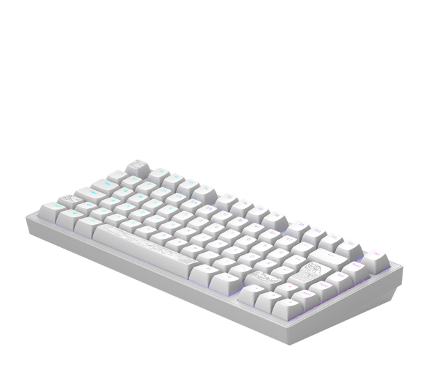 DARK PROJECT ALU81A Terra Nostra White ISO DE Multilingual Support - 1456415 - zdjęcie 5